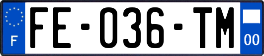 FE-036-TM