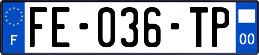 FE-036-TP