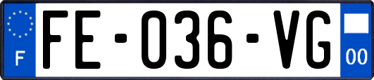 FE-036-VG