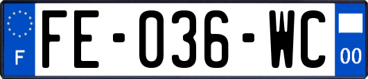 FE-036-WC