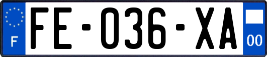 FE-036-XA