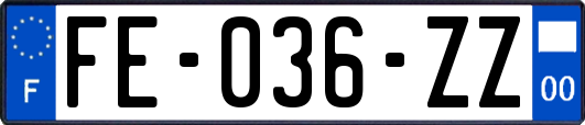 FE-036-ZZ