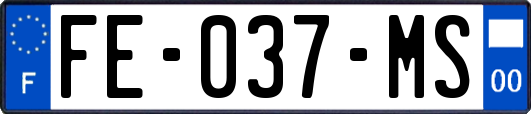 FE-037-MS