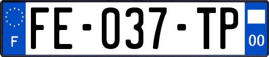 FE-037-TP