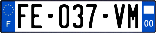 FE-037-VM