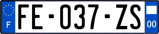 FE-037-ZS