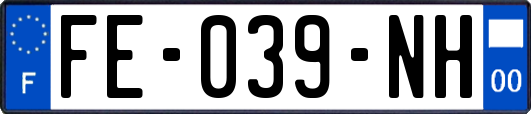 FE-039-NH