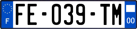 FE-039-TM