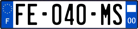 FE-040-MS