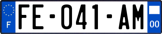 FE-041-AM