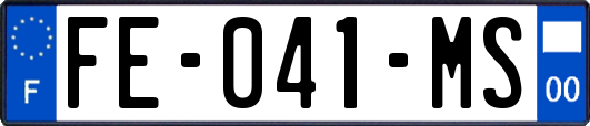FE-041-MS