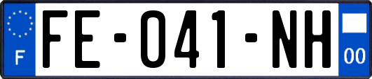 FE-041-NH