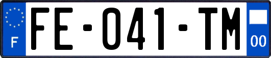 FE-041-TM