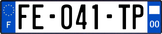 FE-041-TP