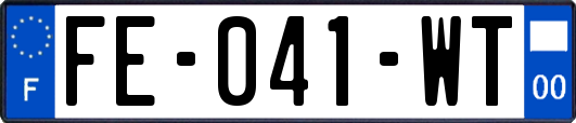 FE-041-WT