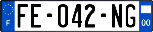 FE-042-NG