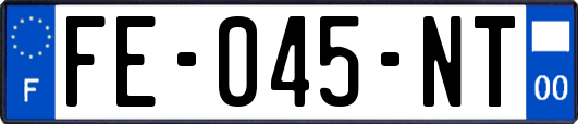 FE-045-NT