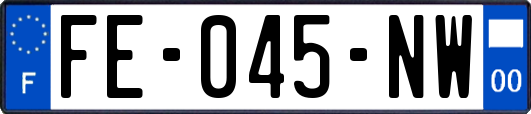 FE-045-NW