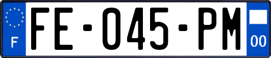 FE-045-PM