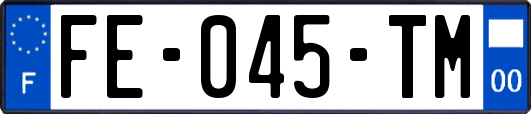 FE-045-TM