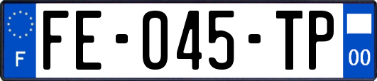FE-045-TP