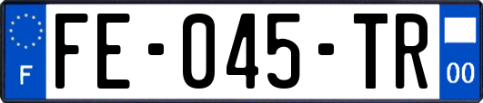 FE-045-TR