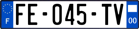 FE-045-TV