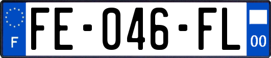 FE-046-FL