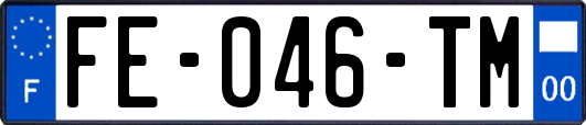 FE-046-TM