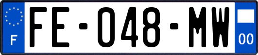 FE-048-MW