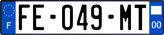 FE-049-MT