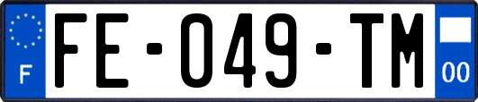 FE-049-TM