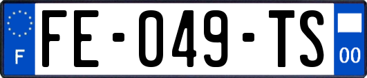 FE-049-TS