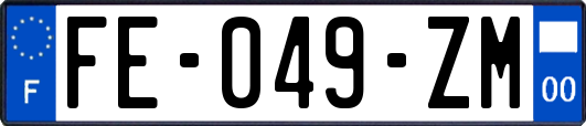 FE-049-ZM