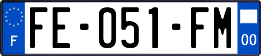 FE-051-FM