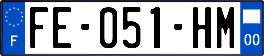 FE-051-HM