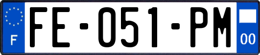 FE-051-PM