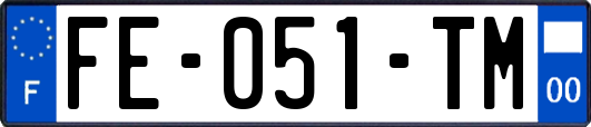 FE-051-TM