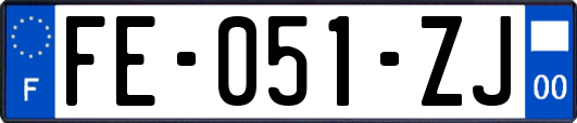 FE-051-ZJ