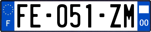 FE-051-ZM