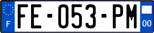 FE-053-PM