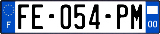 FE-054-PM