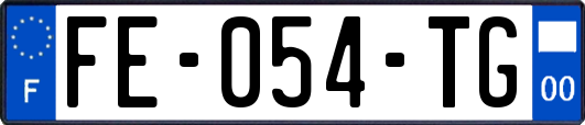 FE-054-TG