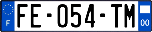 FE-054-TM