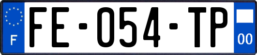 FE-054-TP