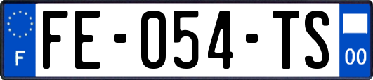 FE-054-TS
