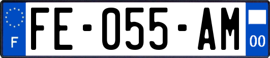 FE-055-AM