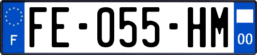 FE-055-HM