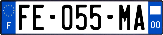 FE-055-MA