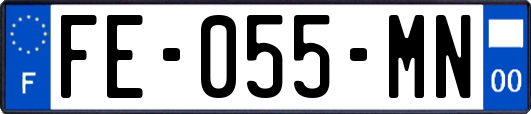 FE-055-MN